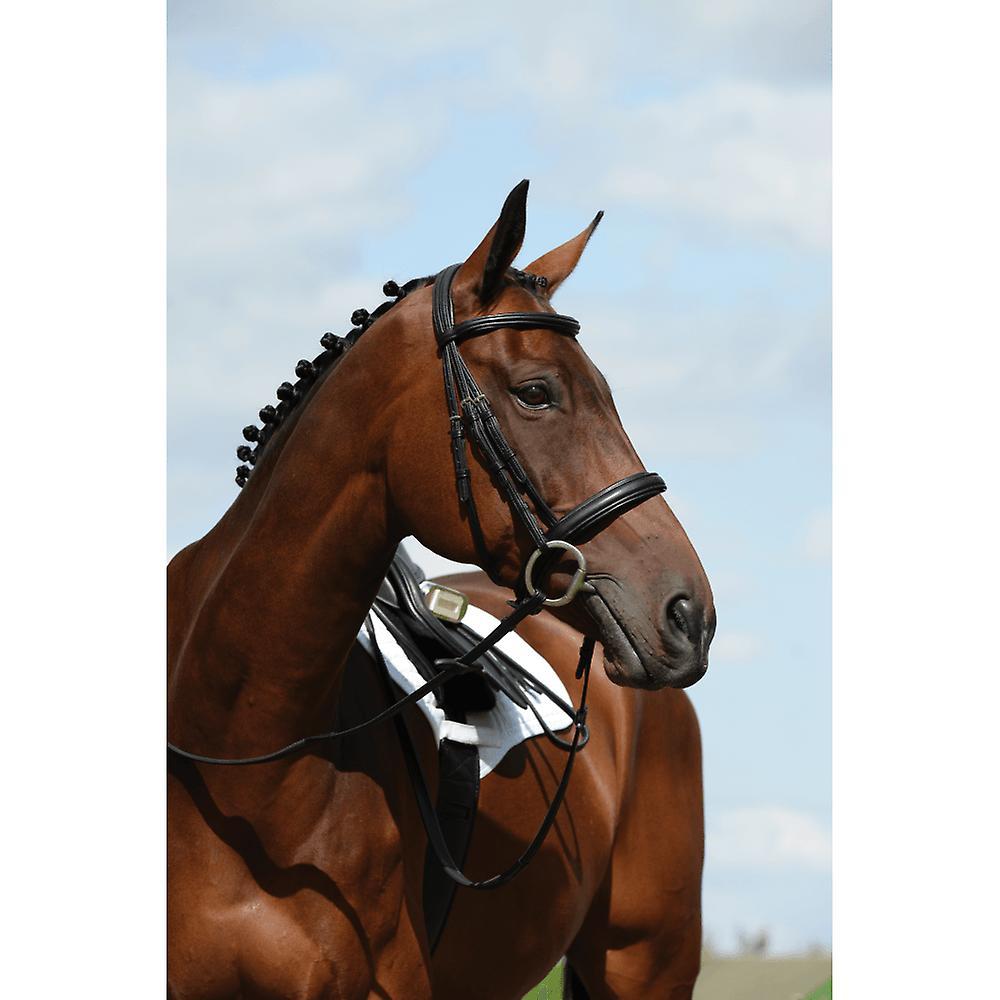 Collegiate Syntovia+ Padded Raised Cavesson Bridle - Black Full