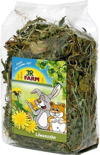 Jr Farm Dandelion (Small pets , Treats) 100 gr