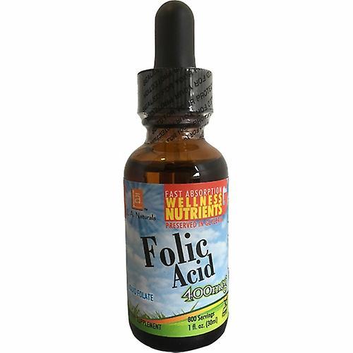 LA Naturals L. A .Naturals Liquid Folic Acid Drops, 1 Oz (Pack of 1)