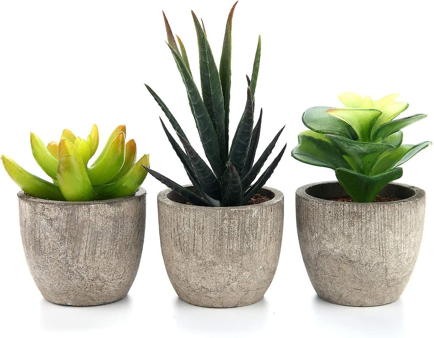 Yeye 3pcs Faux Succulent Bonsai Cactus Plant Pot Flower Pot Container Plant Bonsai Artificial Simulation