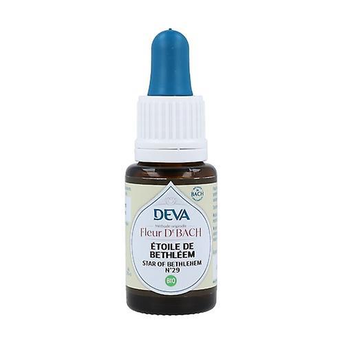 Deva Bethlehem Star - Dropper 15 ml of floral elixir