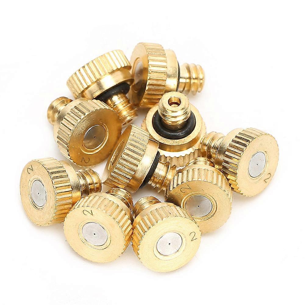 Aespa 10Pcs 0.2mm Tap Water Low Pressure Atomizing Sprayer Nozzle Misting Cooling Spraying Nozzles