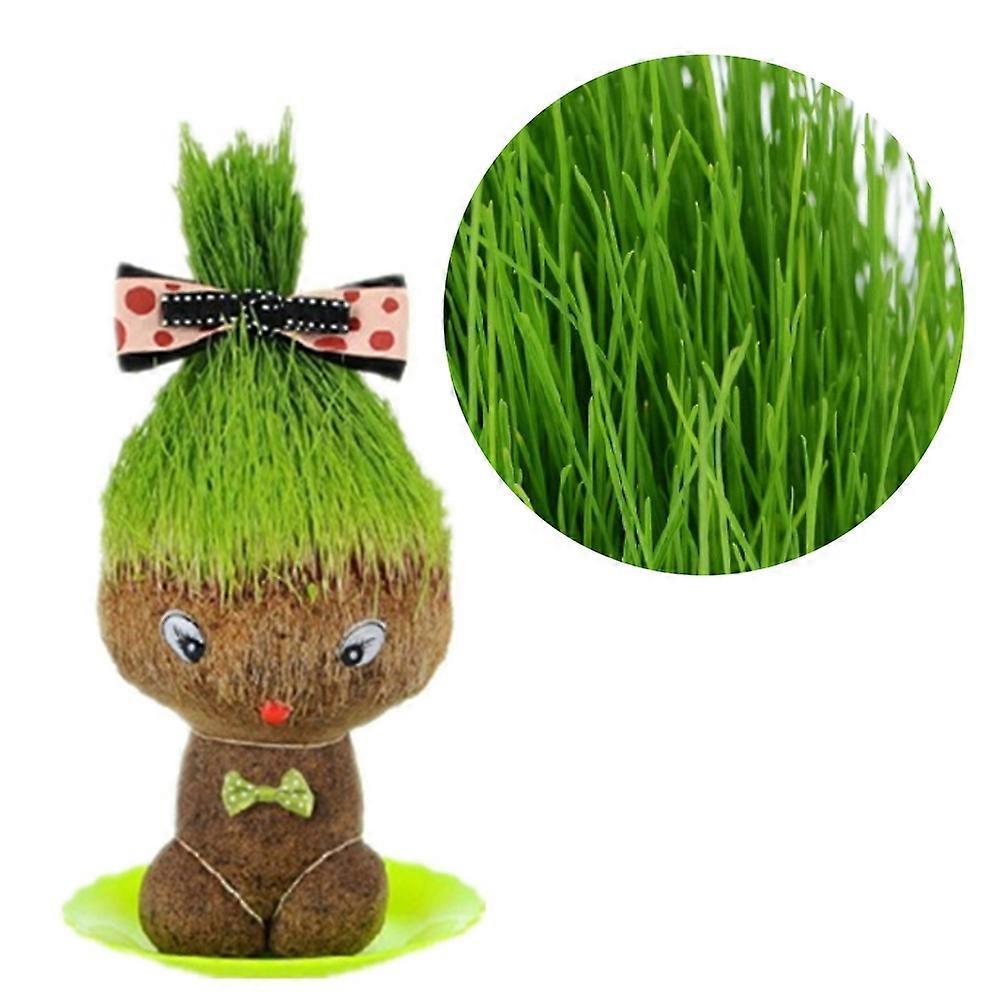 Aespa Grass Head Doll Grow Bag Pots Mini Bonsai Head Grass Doll Office Garden Decoration Supplies