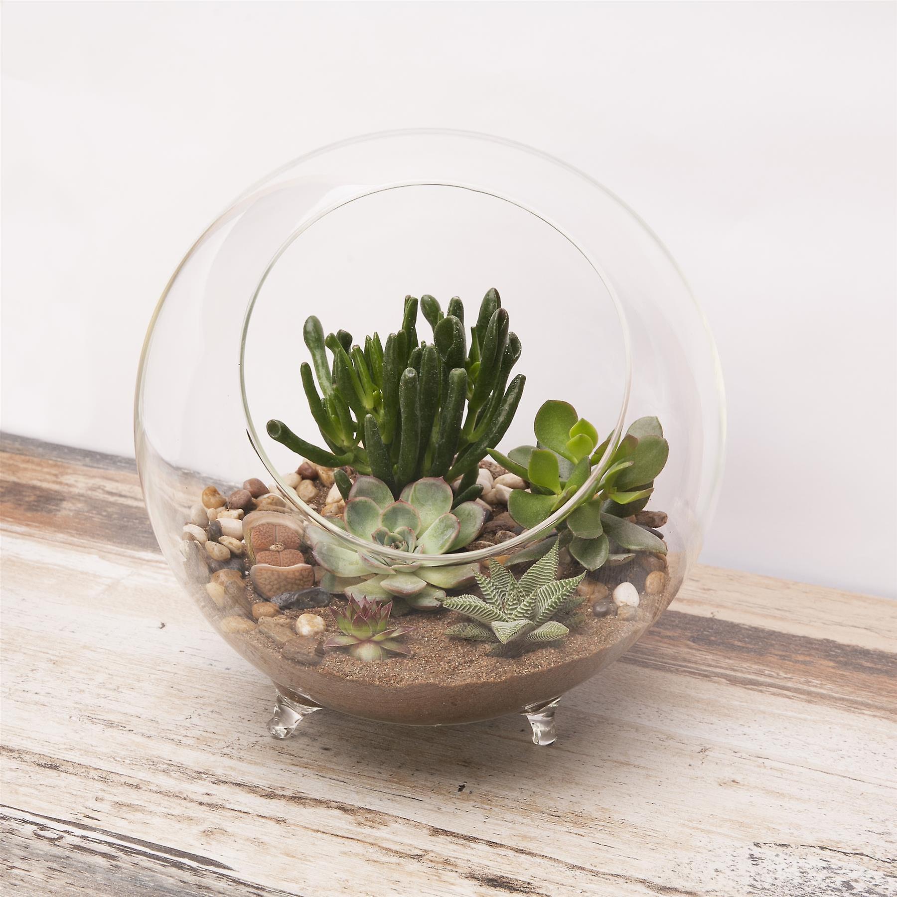 Panacea Large Glass Terrarium with Feet 25.4cm Dia