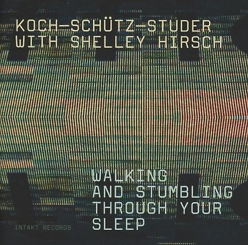 Intakt Records Hans Koch - Walking Stumbling Sleep  [COMPACT DISCS] USA import