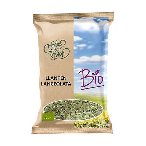 Herbes del Molí Plantain leaves Eco 30 g