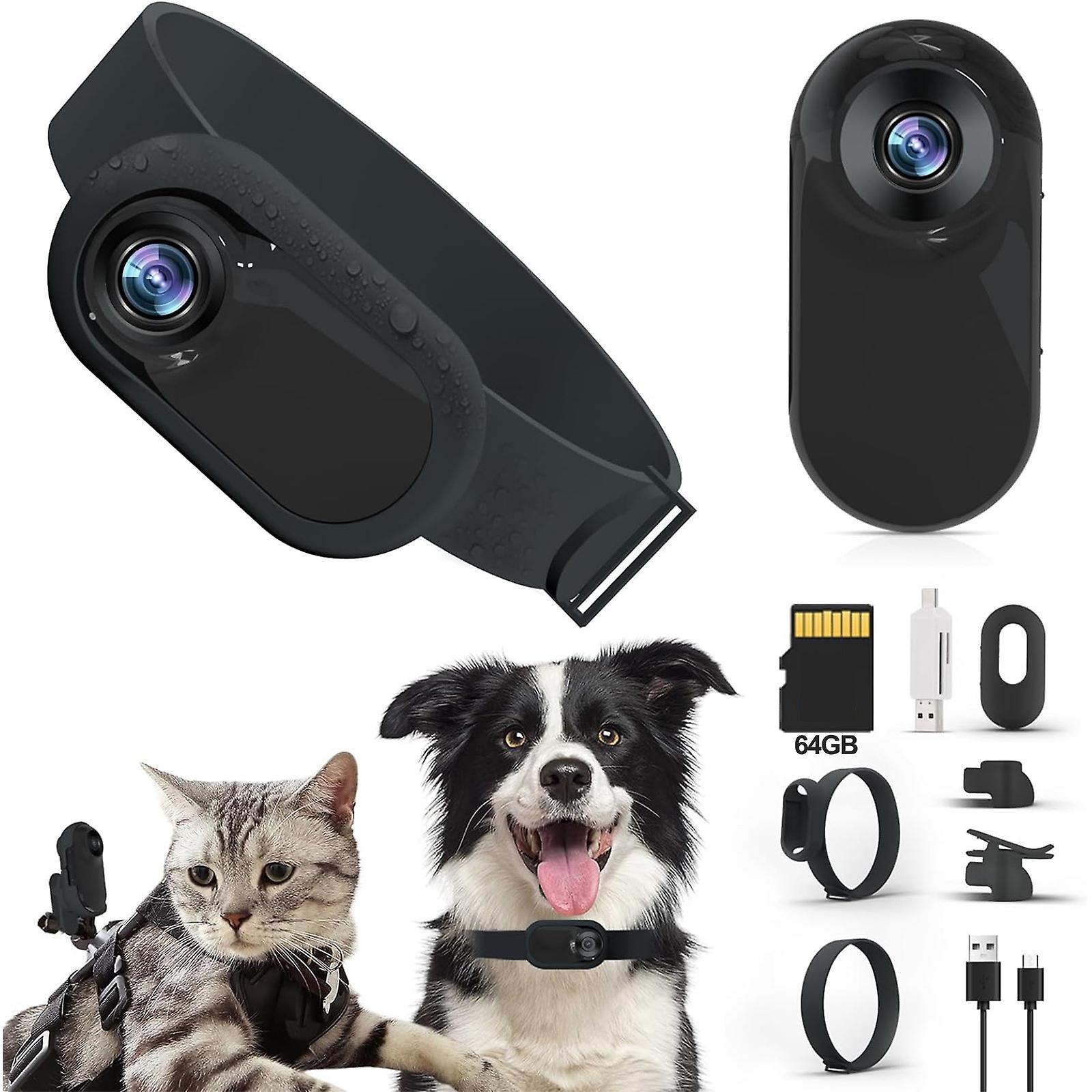 Wtowin Cat Camera Collar, Hd 1080p Wireless Dog Collar Camera, Sport Action Camera Cat Tracker Collar Safety Pet Supplies For Dog Cats B with 64G T...