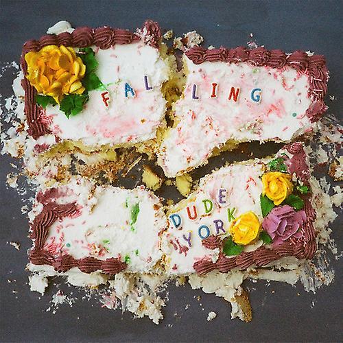 Hardly Art Dude York - Falling  [VINYL LP] USA import