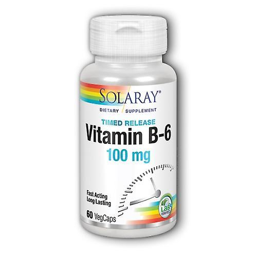 Solaray Vitamin B-6, 100 mg, 60 Caps (Pack of 1)