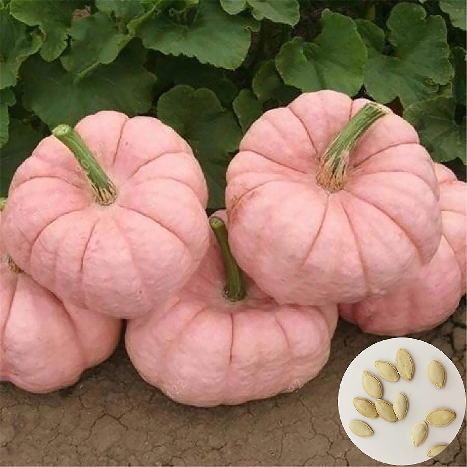 SIJIALI 1 Bag Pink Pumpkin Seed Novel Convenient to Plant Annual Plant Pear Pumpkin Seed for Farm Pumpkin Seeds