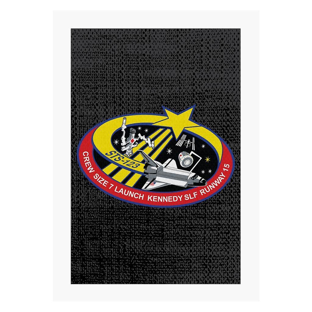 NASA STS 123 Space Shuttle Endeavour Mission Patch A4 Print Black 21cm x 29.7cm