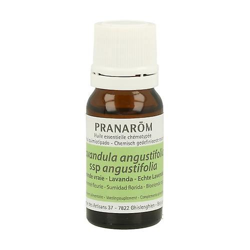 Pranarôm True Lavender essential oil (Lavandula angustifolia) 10 ml of essential oil (Lavender)