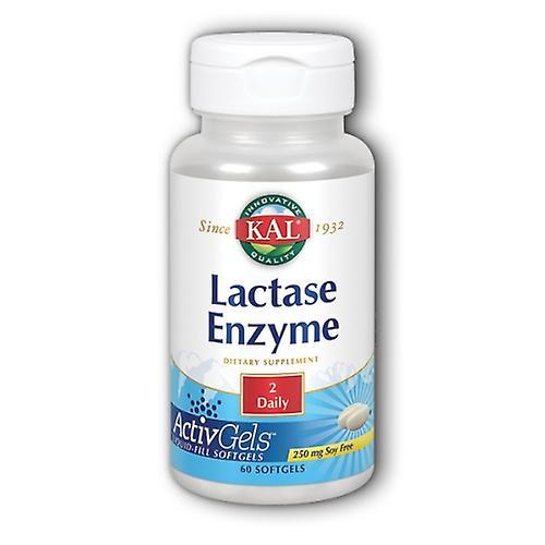 Kal Lactase Enzyme, 250 mg, 60 Softgels (Pack of 1)