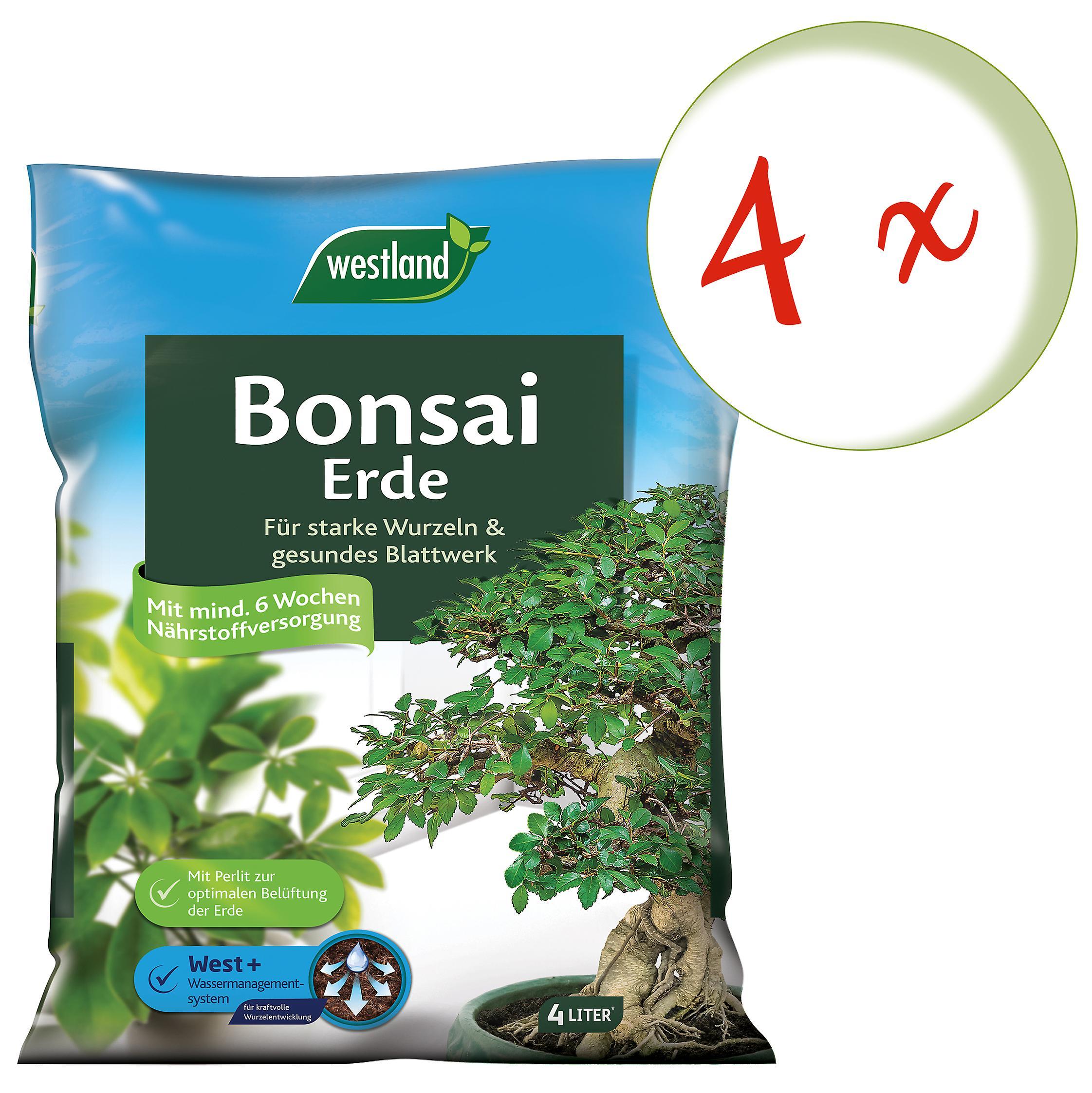 4 x WESTLAND® Bonsai Earth, 4 liters