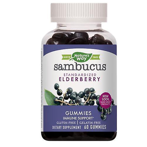 Nature's Way Sumbucus Gummies, Elderberry, 60 Chews (Pack of 1)