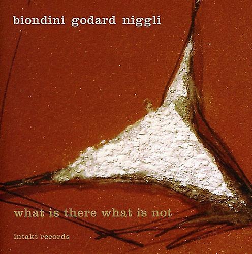 Intakt Records Biondini-Godard-Niggli - What There What Not  [COMPACT DISCS] USA import