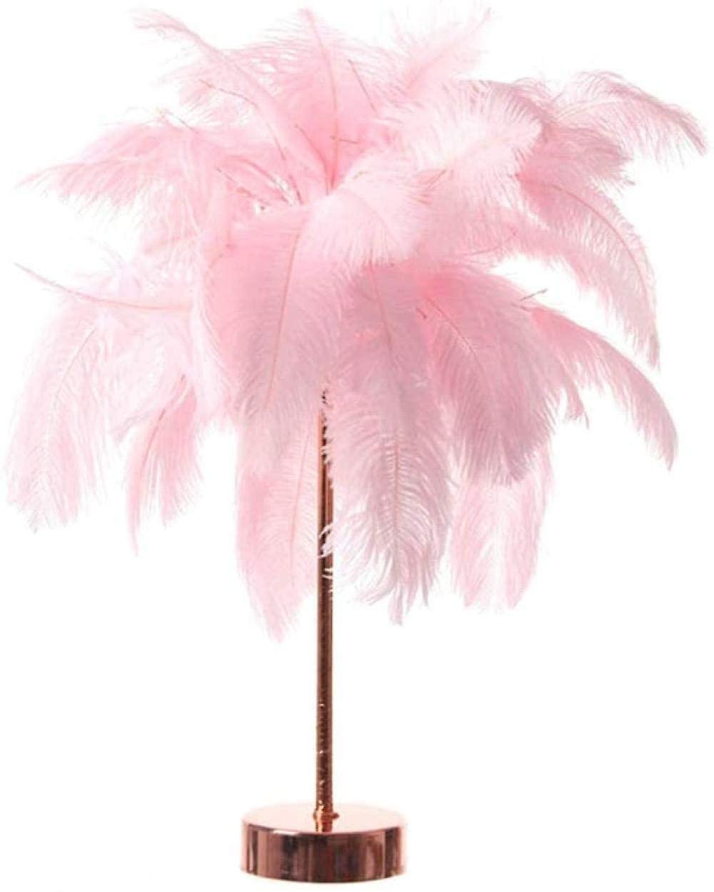 Macos Contemporary And Unique Large Pink Real Spring Decorated Feather Feather Shadow Light