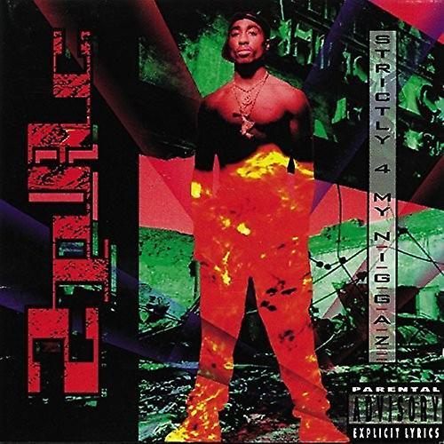 Interscope Records 2Pac - Strictly 4 My N.I.G.G.A.Z... LP USA Import