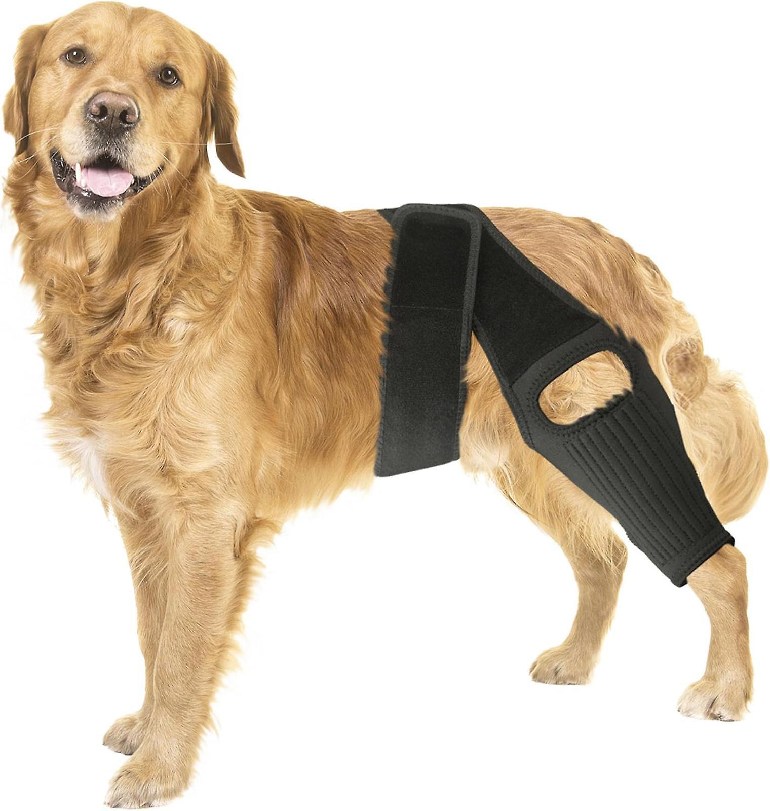 Elewelt Dog Knee Brace For Torn Acl Hind Leg For Support With Cruciate Ligament Injury, Dog Leg Braces, Adjustable Dog Acl Brace Hind Leg Braces fo..