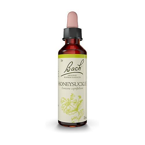 Bach Flower Essences 16 - Honeysuckle 20 ml of floral elixir