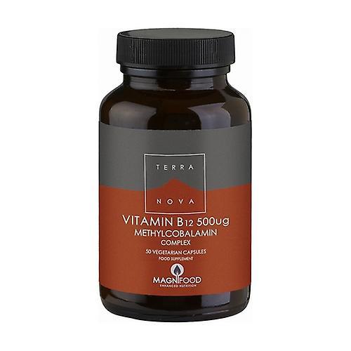 Terra Nova Vitamin B12 Complex 50 Capsules Of 500g (500g)