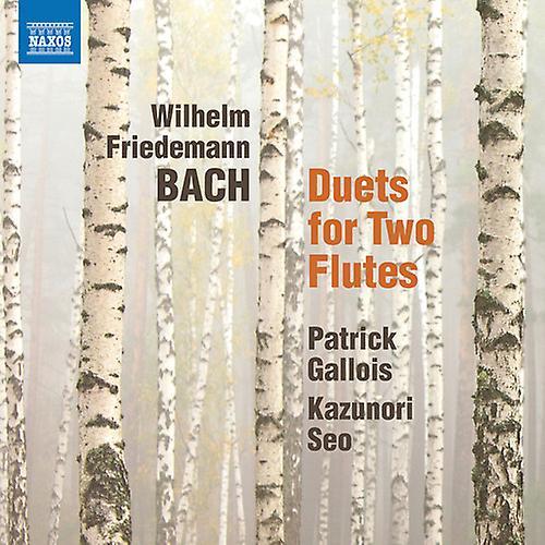 Naxos Gallois / Seo - Duets for 2 Flutes  [COMPACT DISCS] USA import