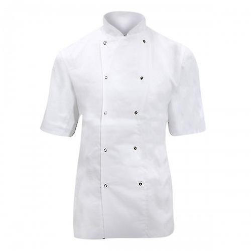 Dennys Womens/Ladies Lightweight Short Sleeve Chefs Jacket / Chefswear (Pack of 2) White M