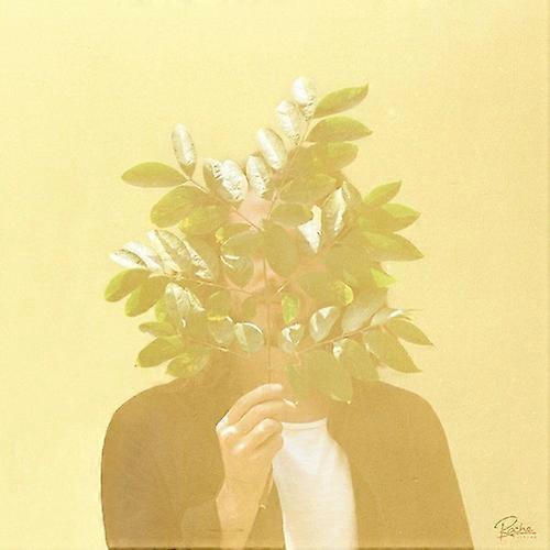 Roche Musique FKJ - French Kiwi Juice  [COMPACT DISCS] USA import