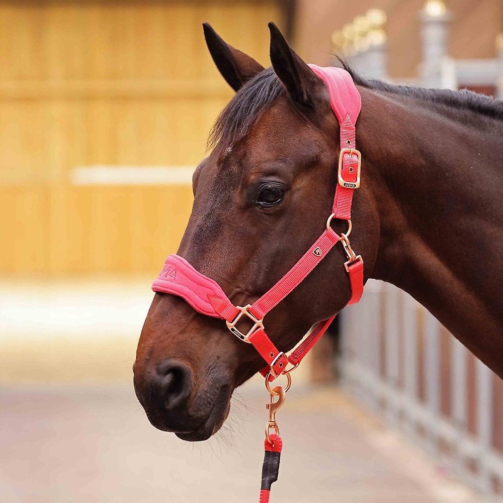 Shires Arma Comfy Fleece Headcollar & Rope Navy Blue Full