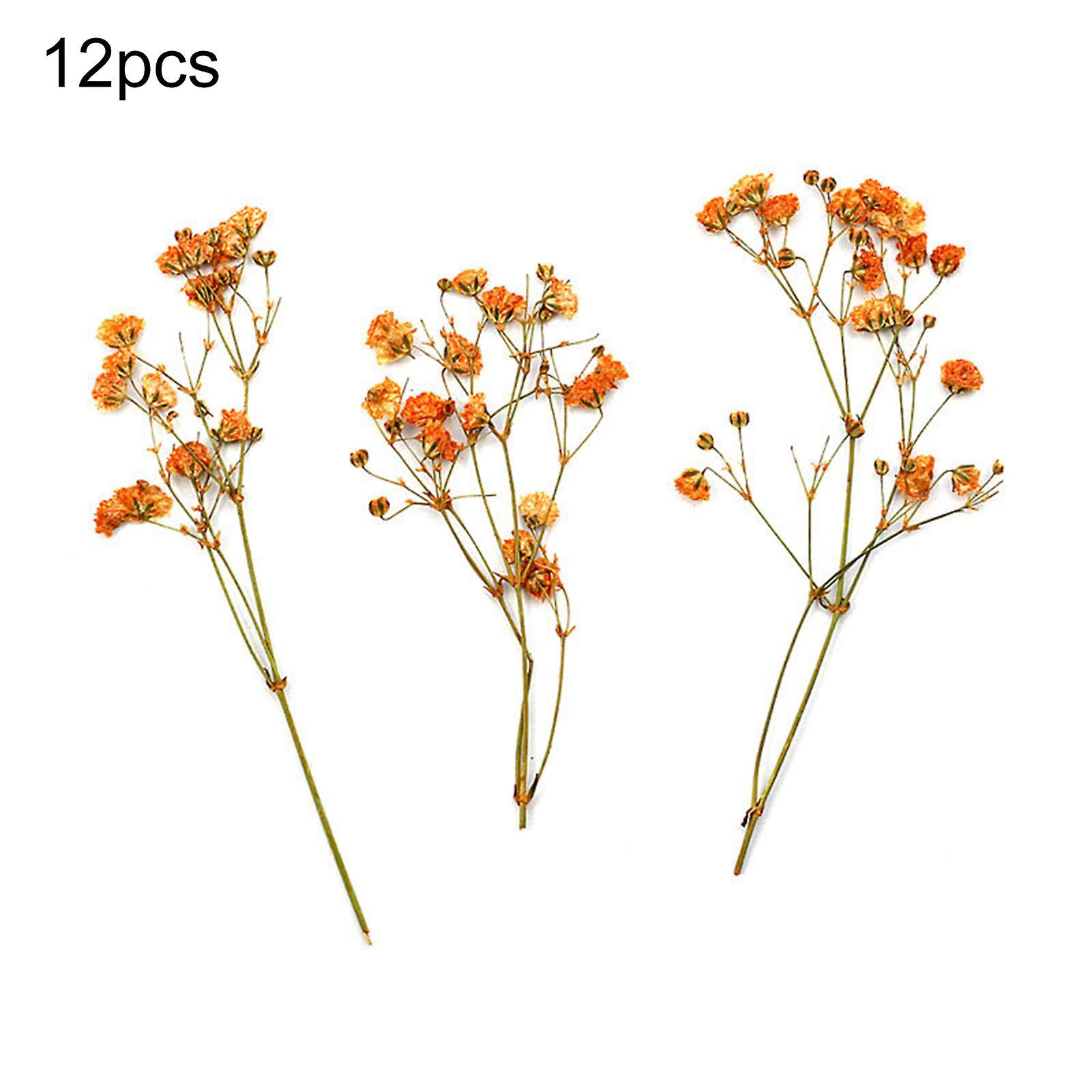 Bluethy 12Pcs Dried Flower Bouquets Natural Long Lasting Realistic Colorful Dried Gypsophila Flower for Wedding Orange