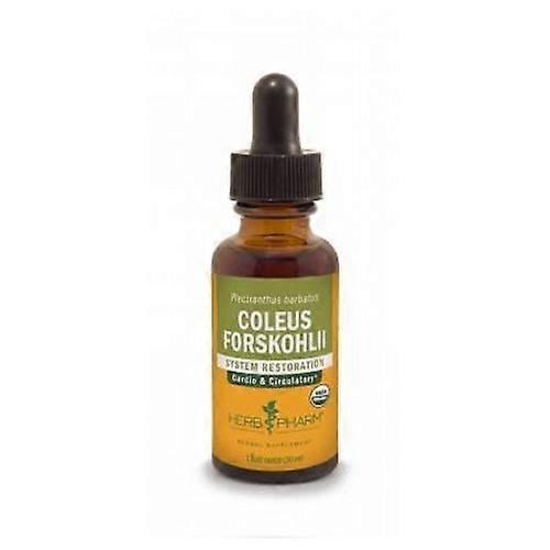 Herb Pharm Coleus Forskohlii, 1 Oz (Pack of 1)