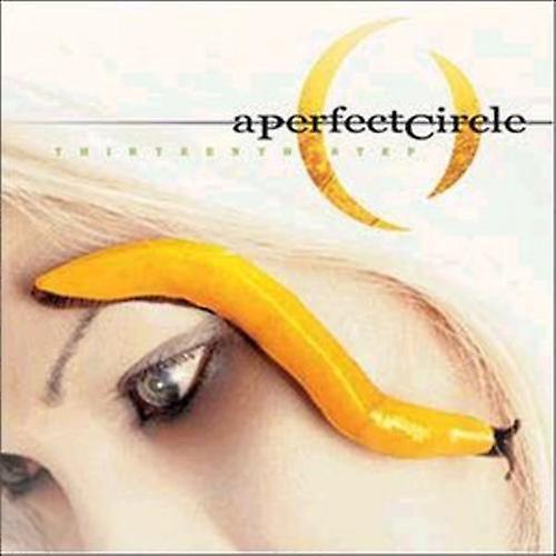 Virgin Records Us A Perfect Circle - Thirteenth Step  [VINYL LP] USA import