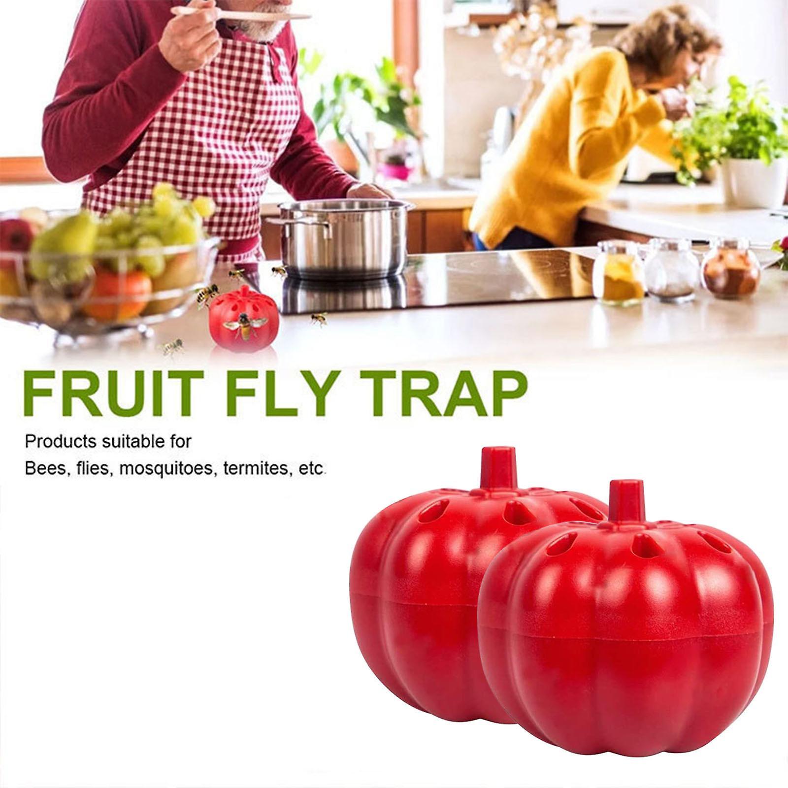 Kakanwo 2 Pc Fruit Fly Traps Indoor, Gnat Killer For Kitchen Multicolor Free Size