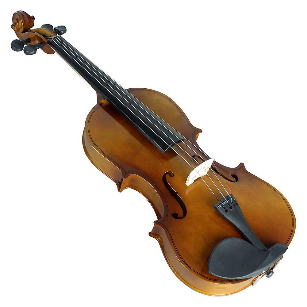 Haloppe 4/4 Full Size Vintage Acoustic Violin Practice Fiddle with Case Bow for Beginner