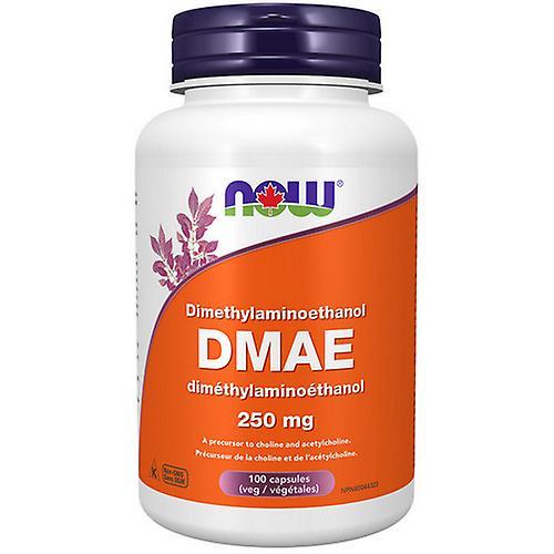 Now! Now DMAE,250mg ,100 VegCaps (Pack of 1)