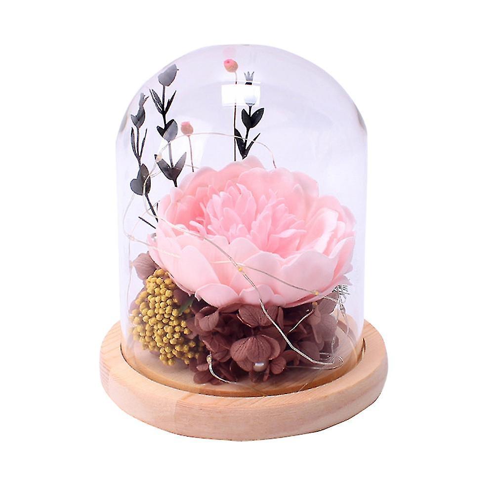 Xmaid Led Lamp Glass Cover Eternal Flower Birthday Gift For Girlfriend Mother's Day Peony Hydrangea