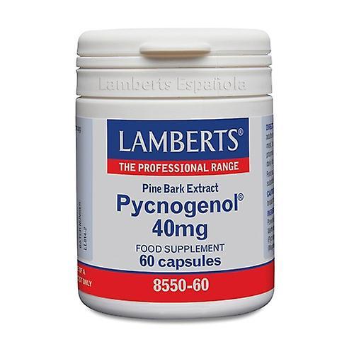 Lamberts Pycnogenol 60 Capsules Of 40mg