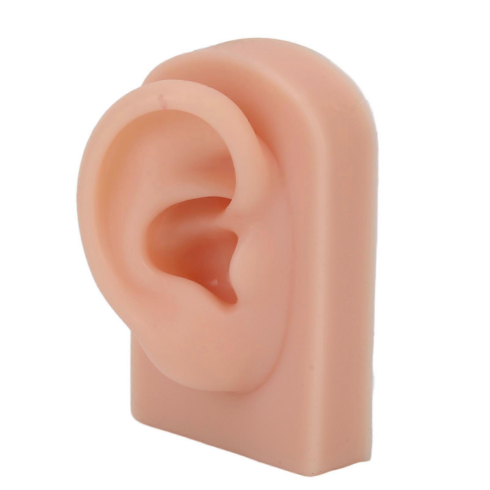 Aespa Silicone Ear Model Soft Flexible Right Ear Reusable Human Ear Model for Ear Piercing Training And Earrings Display Dark Complexion