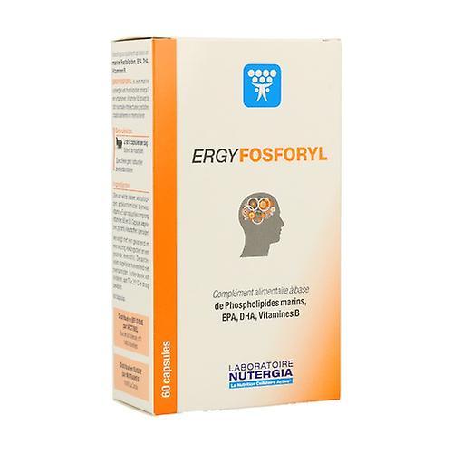 Nutergia Ergyphosphoryl DHA 60 capsules