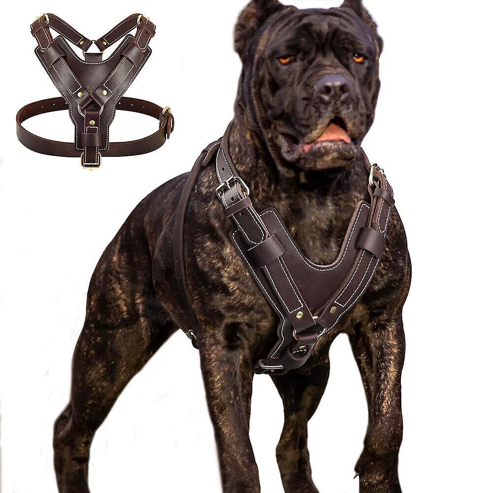 Didog Leather Big Dog Harness Adjustable Training Vest Pitbull Rottweiler Boxer L:Chest 62-80cm