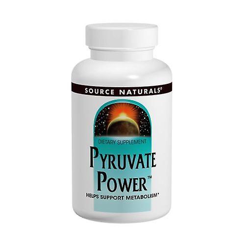 Source Naturals Pyruvate Power,750 MG ,90 Caps (Pack of 1)