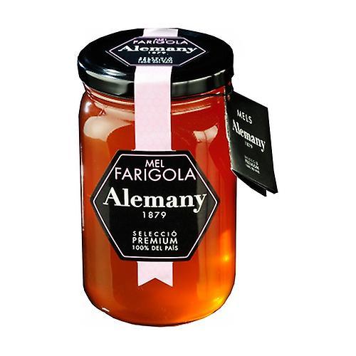 Alemany Thyme Honey 980 g copper