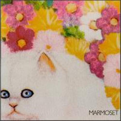 Secretly Canadian Marmoset - Today It's You  [COMPACT DISCS] USA import