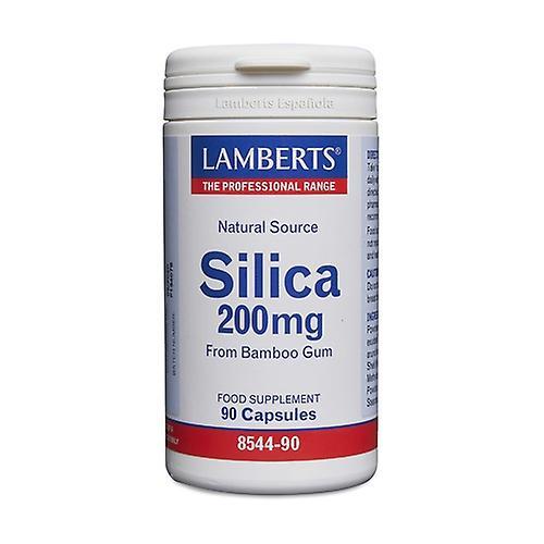 Lamberts Silicon 90 capsules of 200mg