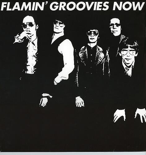 Liberation Hall Flamin' Groovies - Now  [COMPACT DISCS] USA import