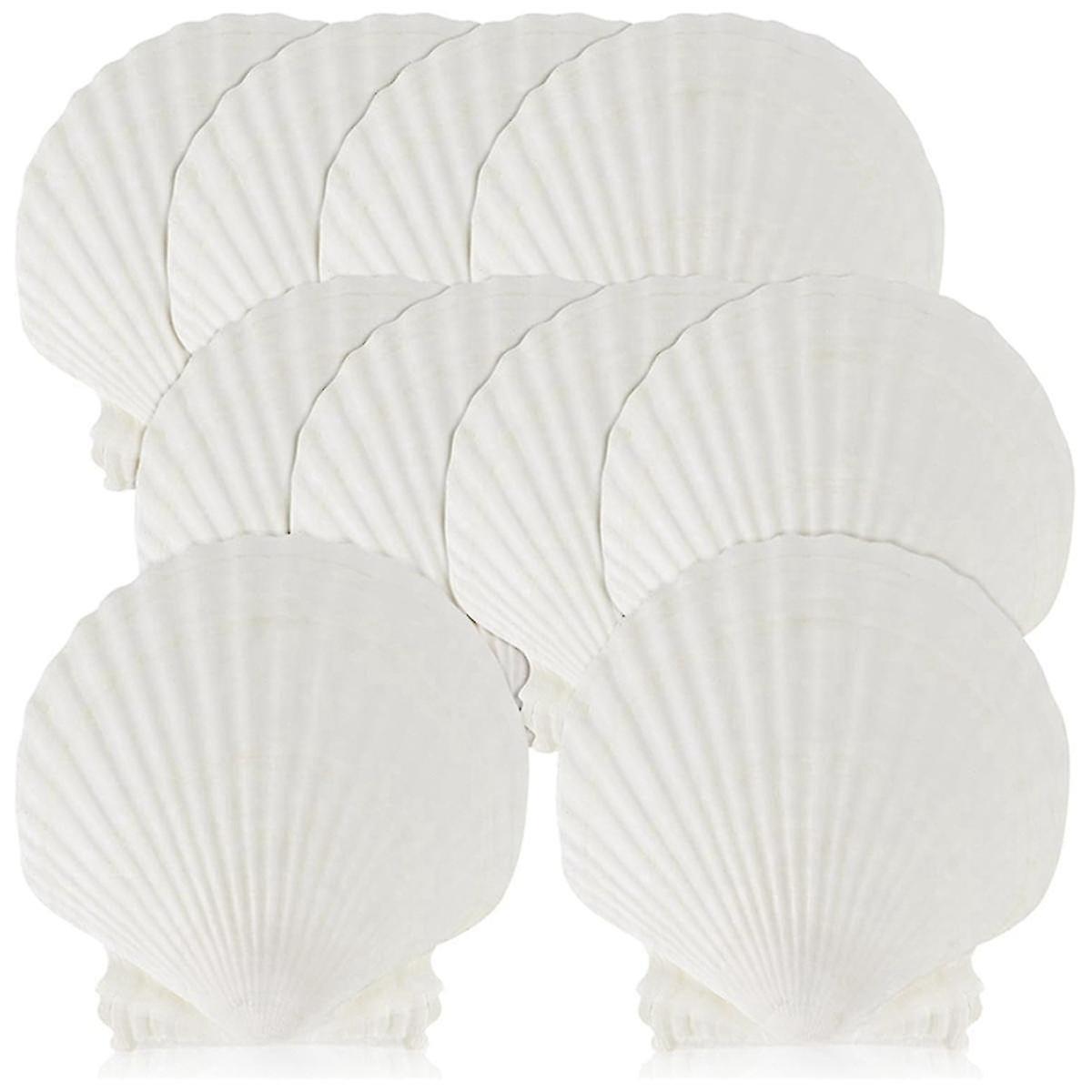 15 Pcs Natural Sea Shell Large White, 4-4.7 Inch Scallop Shells For Diy Craft, Serving Food, Baking