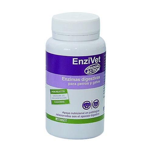 Stangest Enzivet digestive enzymes for dogs and cats 60 tablets