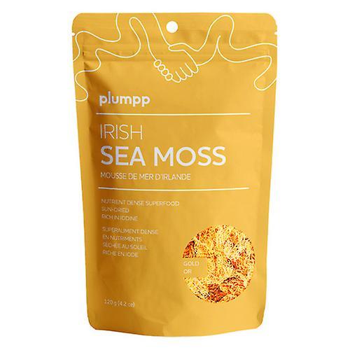 Plumpp Irish Sea Moss, 120 Grams (Pack of 1)