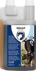 Excellent Salmocol for calves