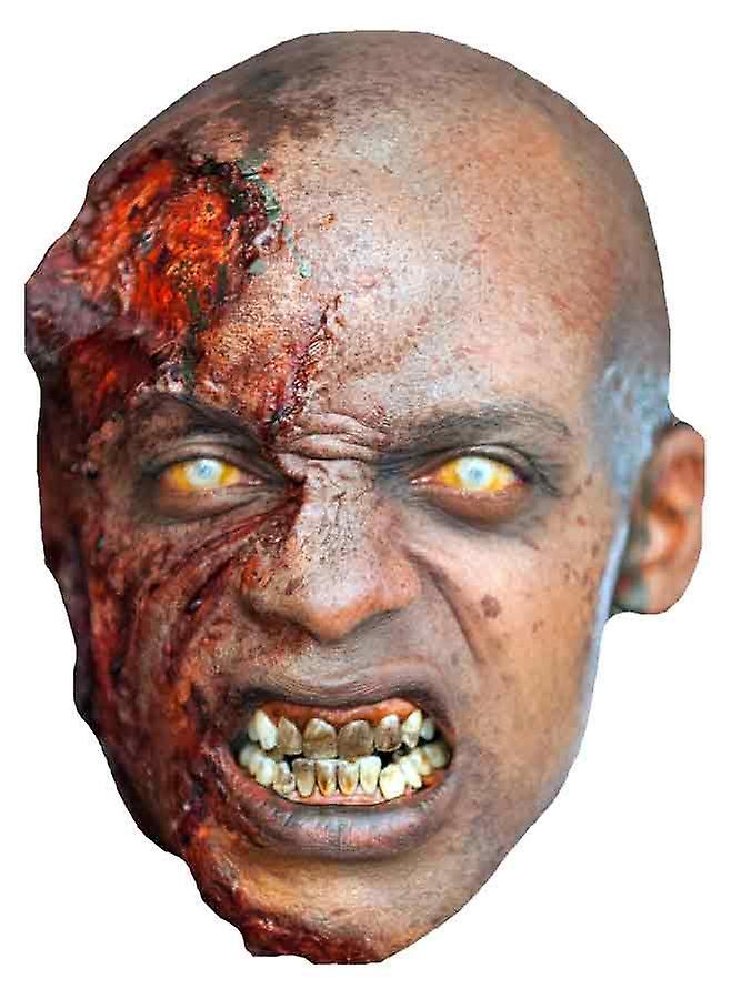 The Walking Dead Bleeding Zombie Party Card Fancy Dress Mask